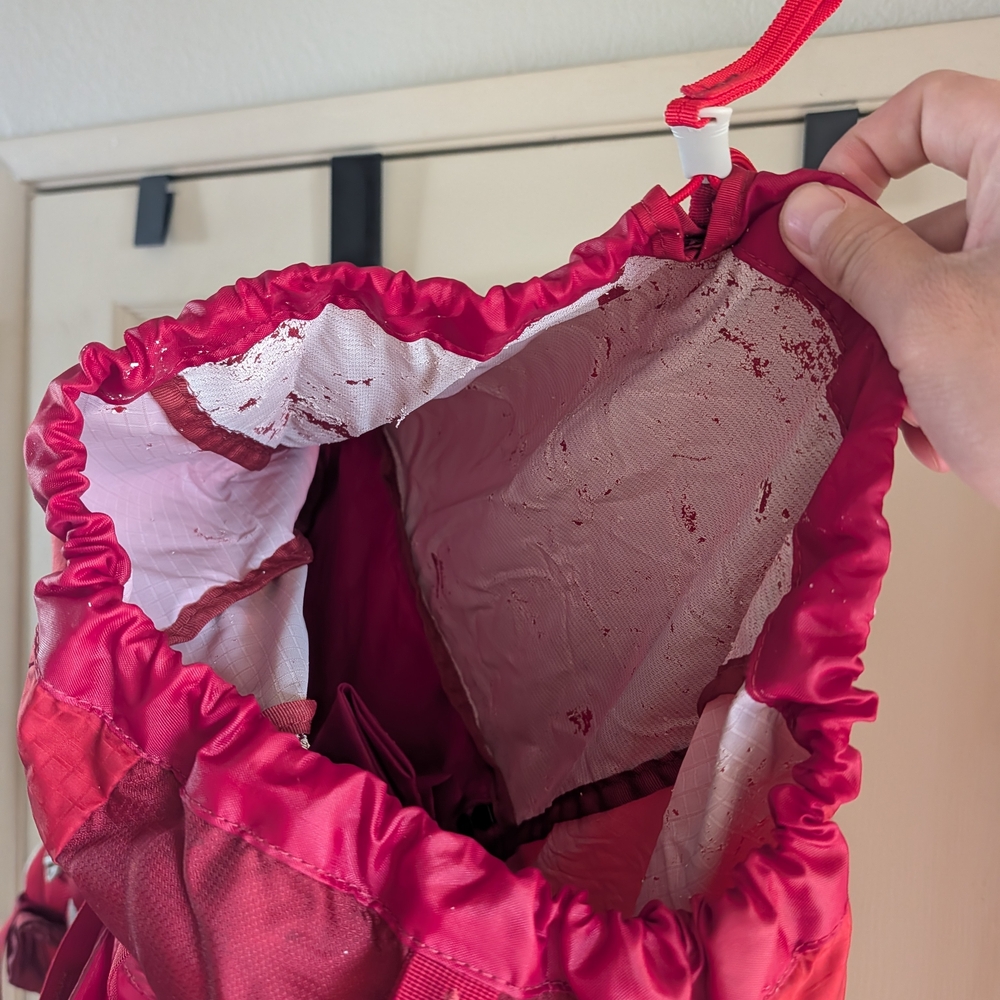 Gregory Red Backpack - image 2